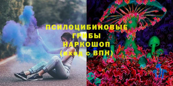 тгк Алексин