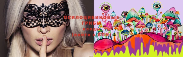 винт Абинск