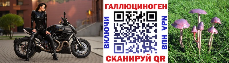 Псилоцибиновые грибы Cubensis  MEGA маркетплейс  Карабулак 